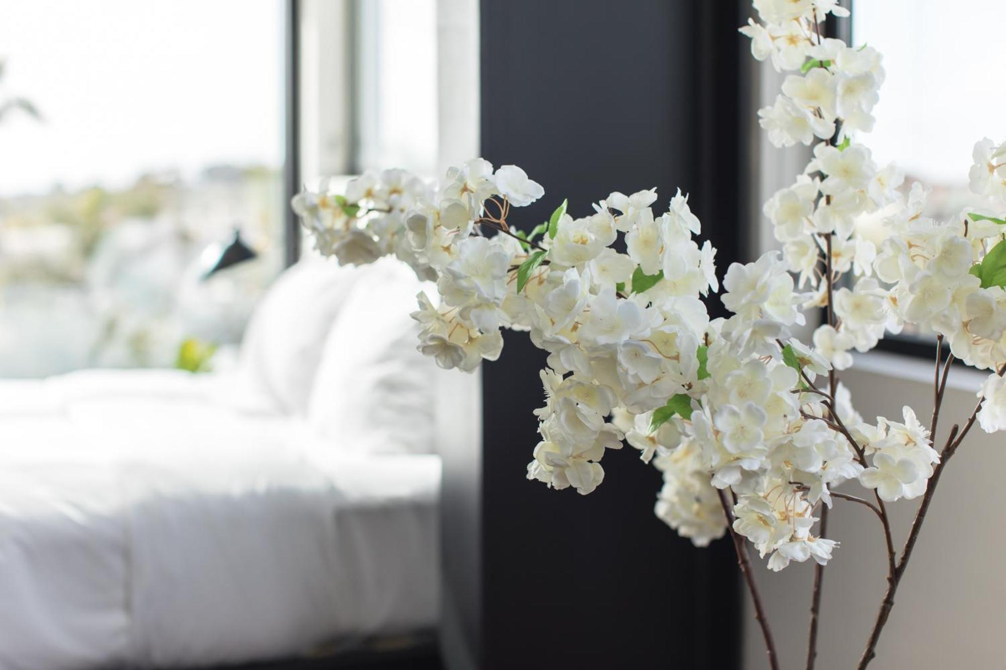 Abpopa Hillcrest Hotel San Diego Eksteriør billede