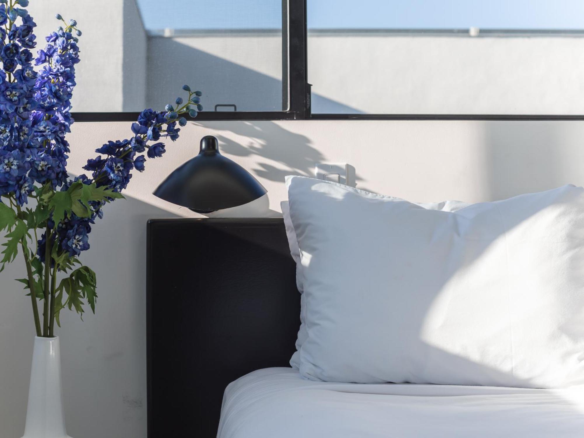 Abpopa Hillcrest Hotel San Diego Eksteriør billede